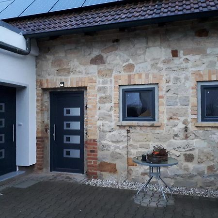 Ferienwohnung Gaensebluemchen Wartenburg Extérieur photo