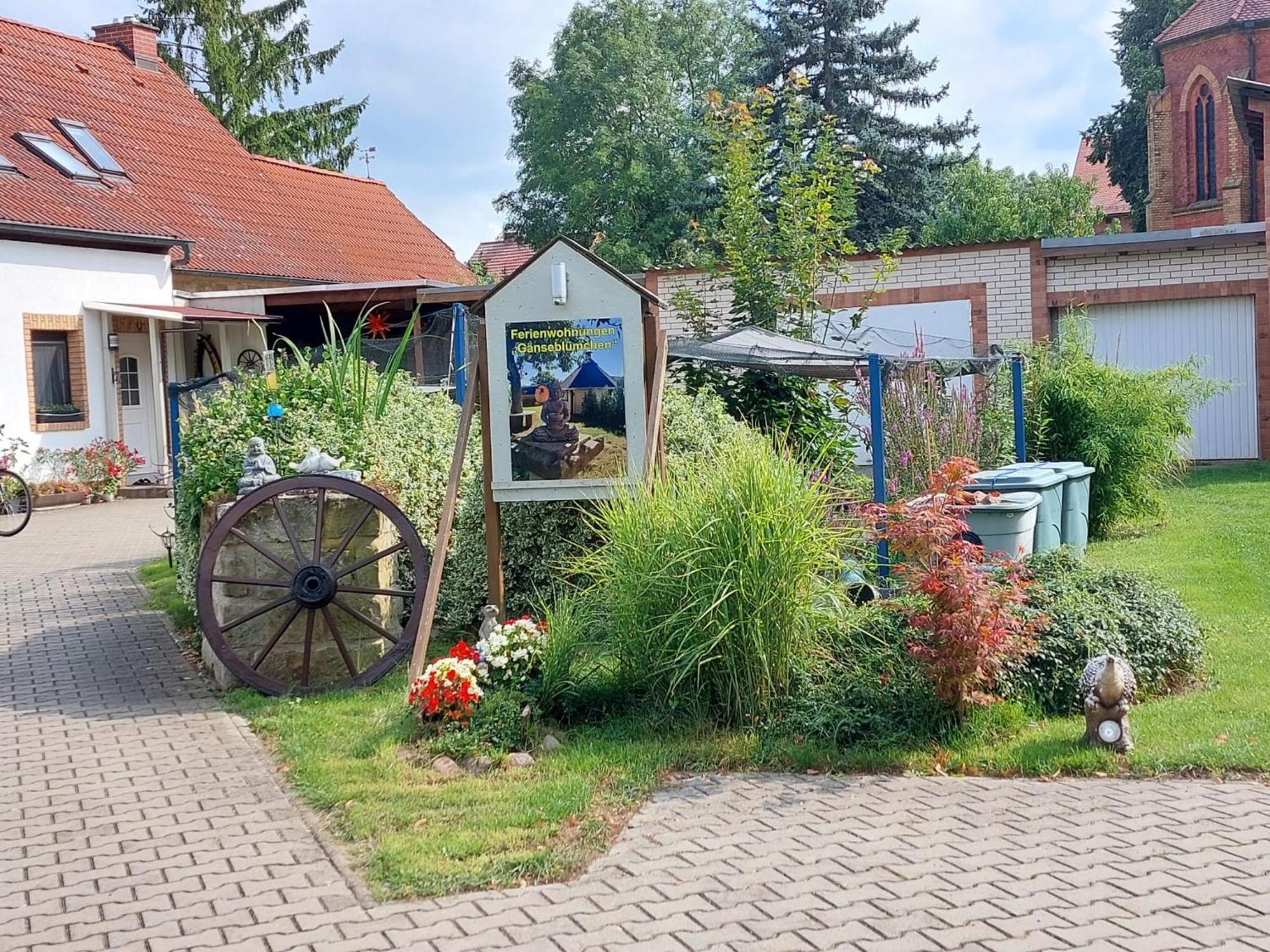 Ferienwohnung Gaensebluemchen Wartenburg Extérieur photo